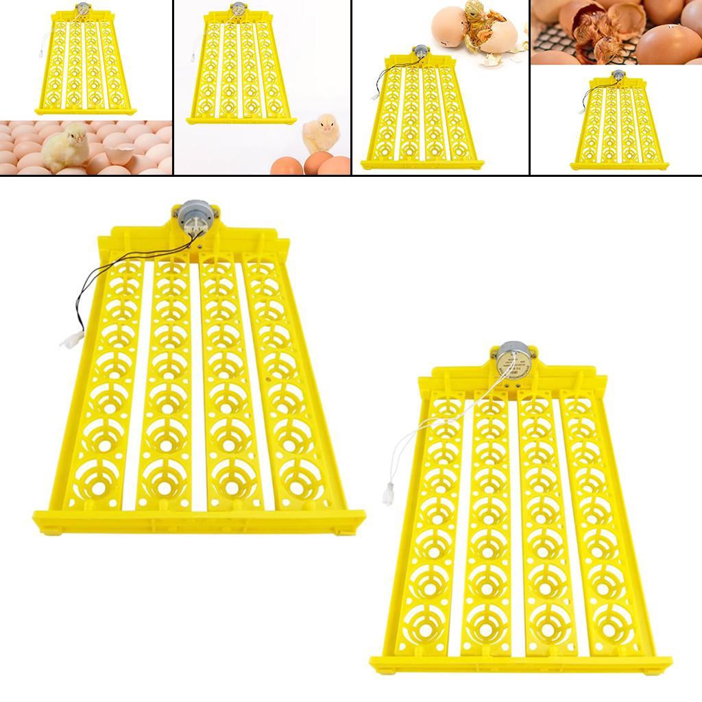 Egg Incubator Automatic Egg Turner Egg Hatcher 32 Eggs Temperature Control Poultry for Chicken Goose Duck Quail Supplies