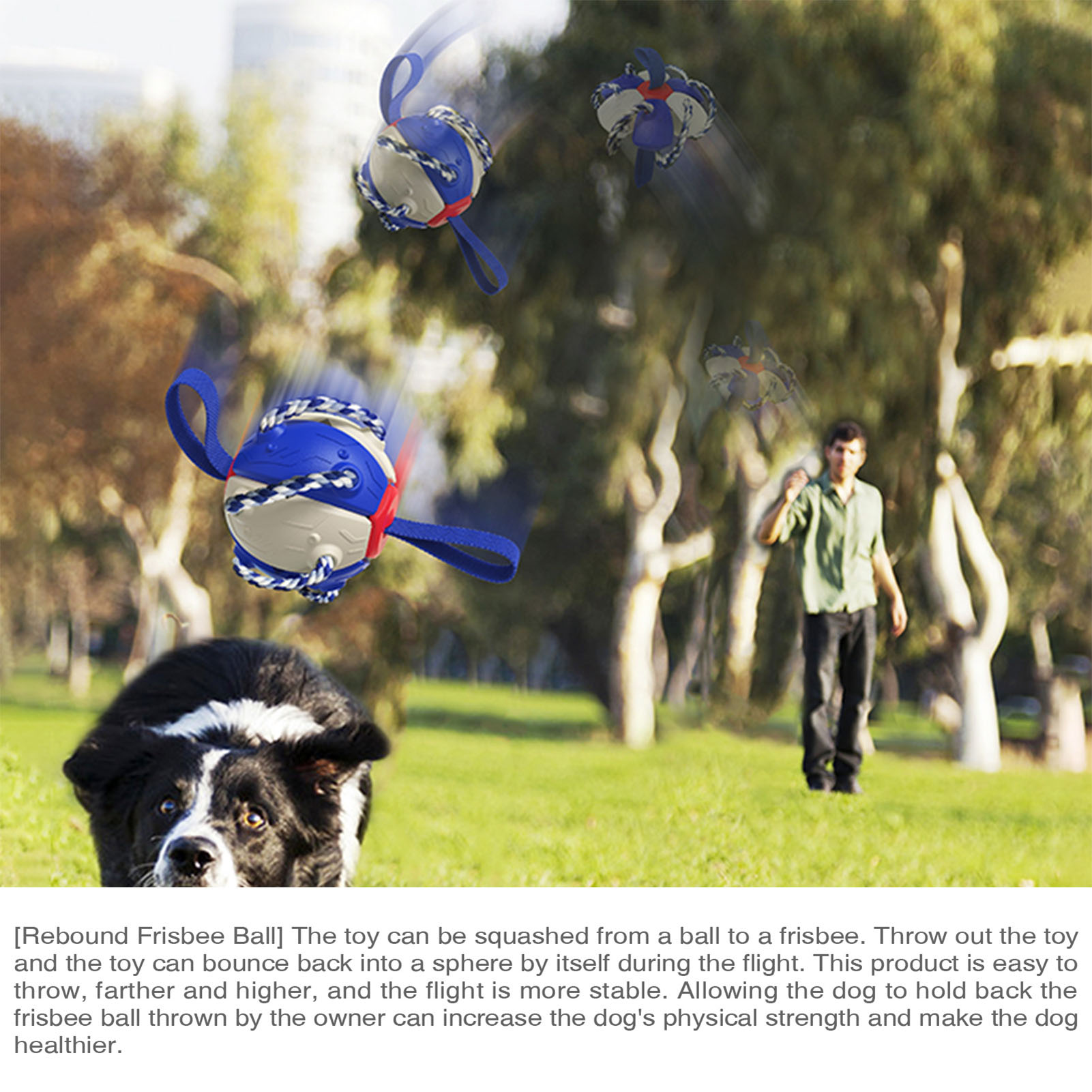 Interactive Dog Toy Portable Multifunctional Entertaining Outdoor Dog Training Toy For Puppy Small Big Dogs