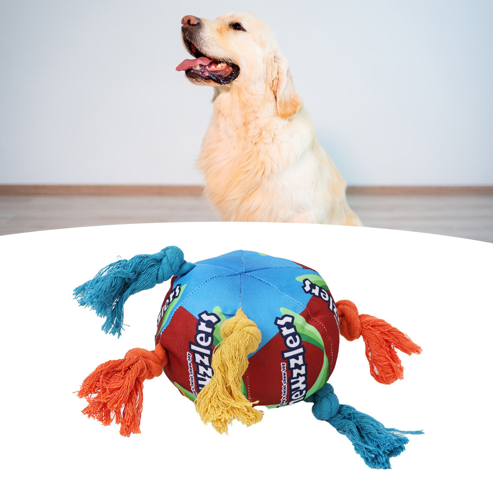 Dogs Sniffing Ball Fun Interactive Colorful Squeaky Bite Resistance Pet Toy Ball For Pets Dogs Cats