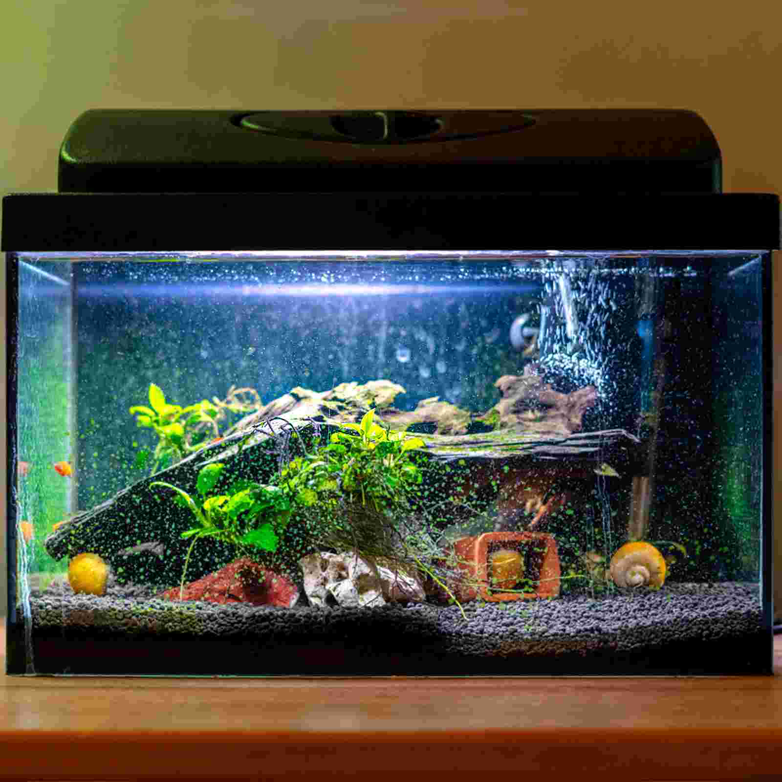 Filter Fish Tank Pad Pink Basket for Candy White Storage Foam Container Bottom Mats