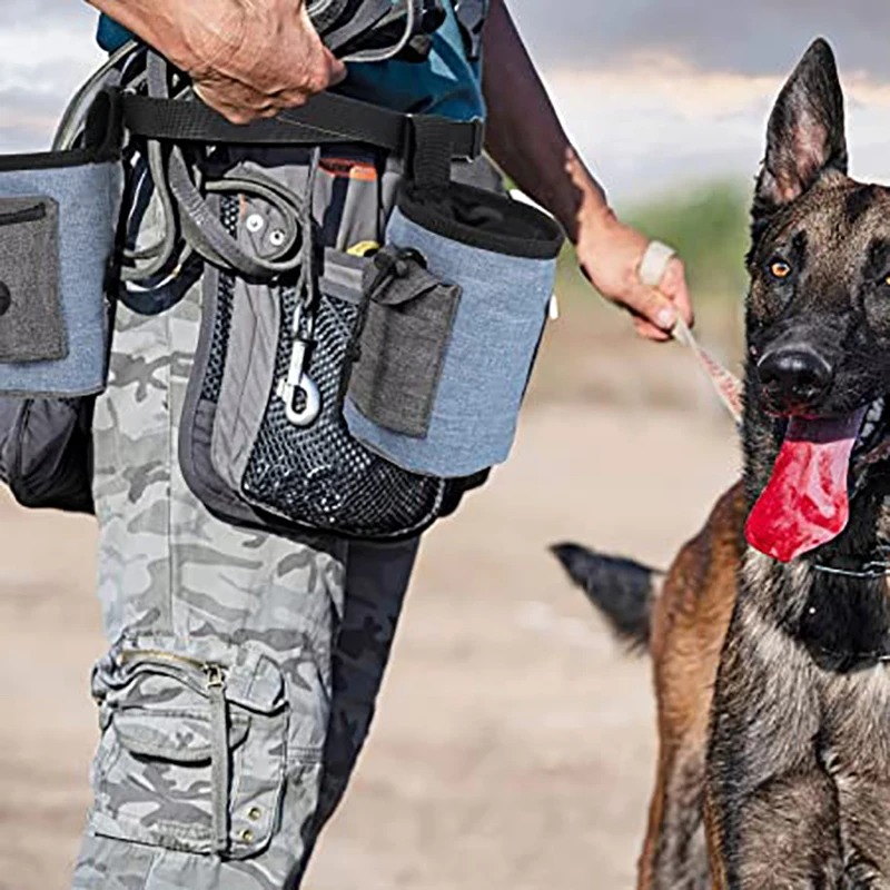 Dog Treat Pouch Training Washable Bag with Waist Strap Carry Portable Pocket Puppy Pet Toys Outdoor Travel Feeding Waist Bags