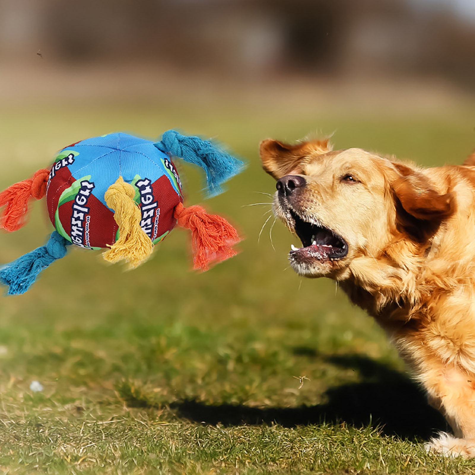 Dogs Sniffing Ball Fun Interactive Colorful Squeaky Bite Resistance Pet Toy Ball For Pets Dogs Cats