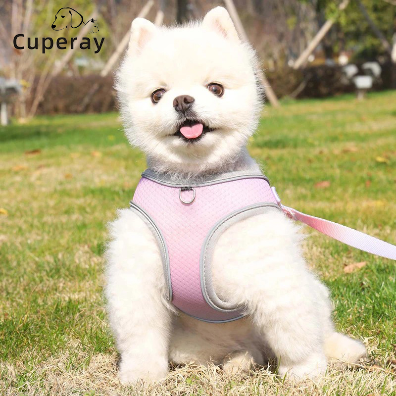 Step in Dog Vest Harness and Leash Set-No Pull Escape Proof Dog Harness with Safety Buckle,Pet Outdoor Harnesses for Medium Dogs