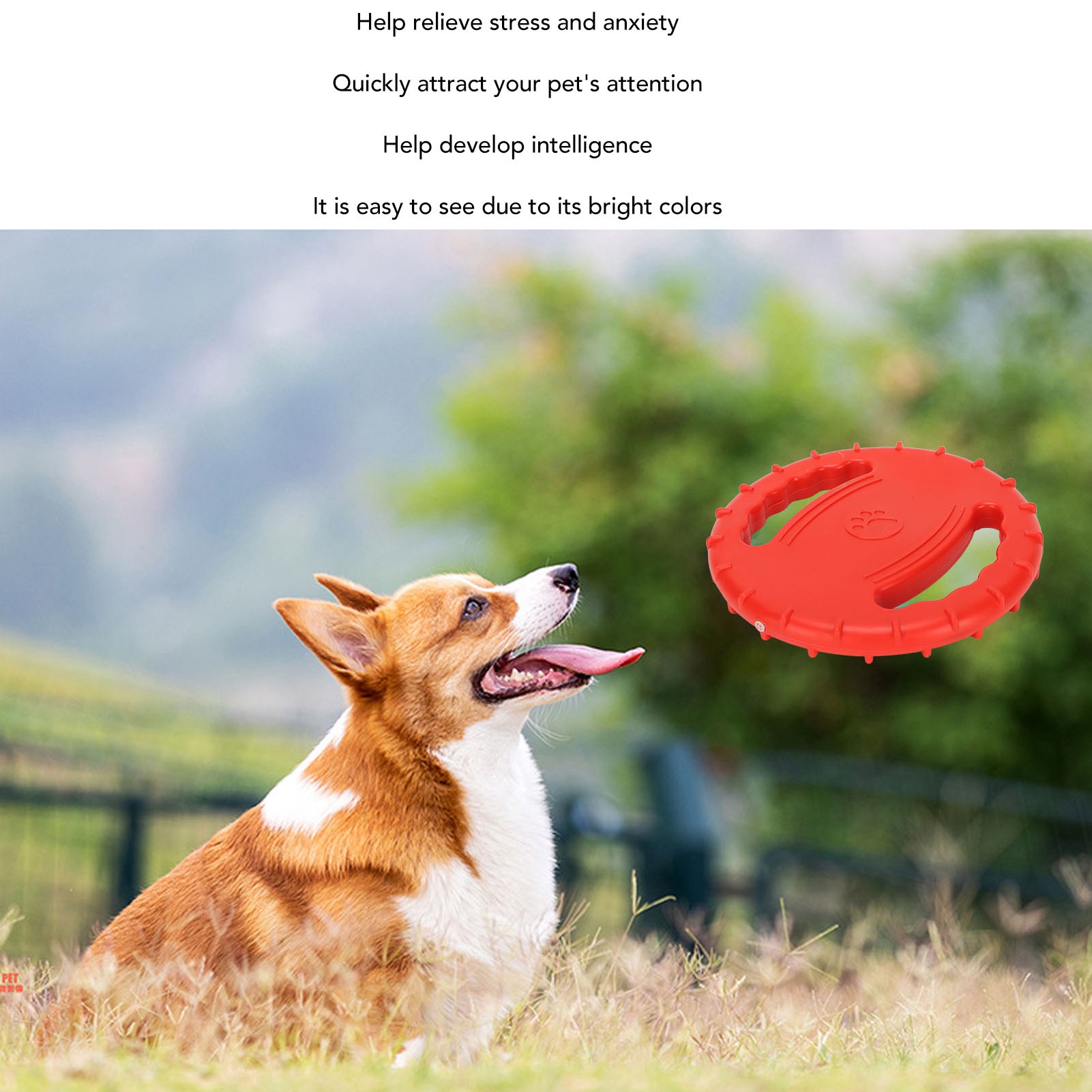 Dog Flying Disc Toy Flexible TPR Squeaky Stress Relief 2 Sides Hollow Design Pet Training Flying Disc For Large Dogs