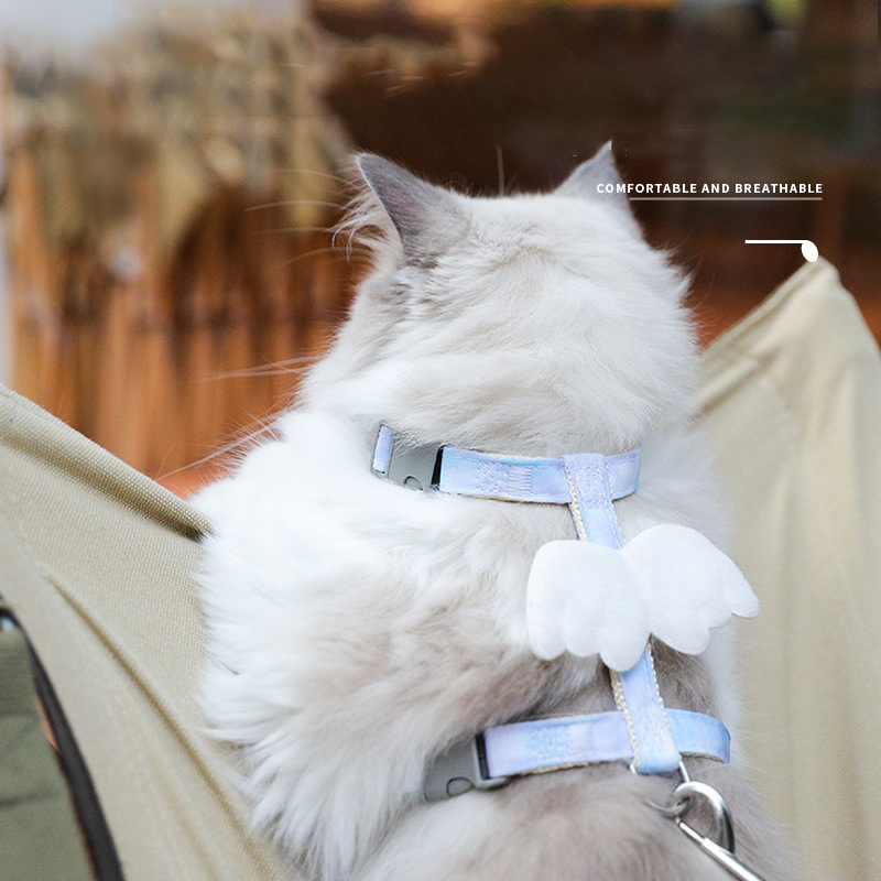 I-beam Cat Leash and Harness Set Adjustable Gradient Color Pet Harness and Leash Set with Wings Decoration To Prevent Breakaway