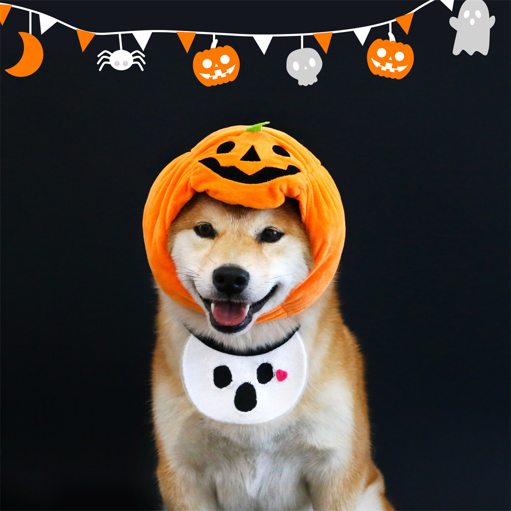 Pet Hood & Bib Set,Cat Dog Halloween Pumpkin Hat Spooky Bib Set Cartoon Plush Hood Photography Props Dress Up Holiday Decoration