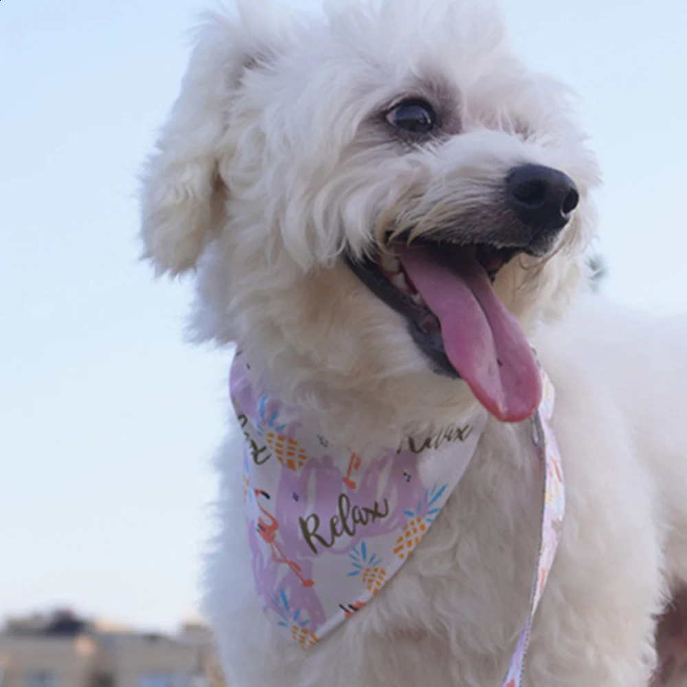 Personalized dog collar set Christmas and Halloween pet supplies small medium and large dog sausages Shiba Inu small dog scarf 240914