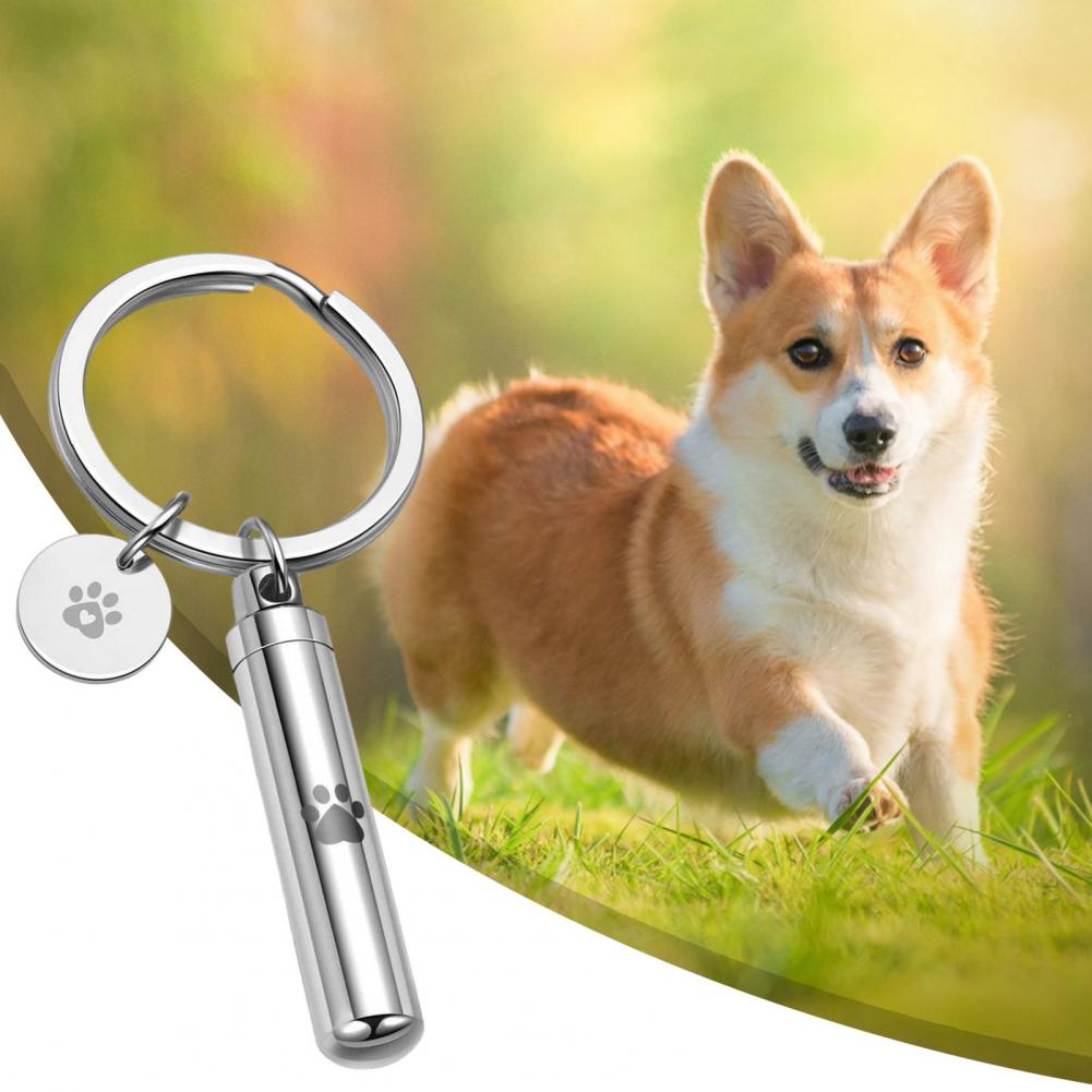 Print Pet Dog Paw Cyder Keychain Memorial Hair Keepsake Jewelry for Portable Bag Accessory