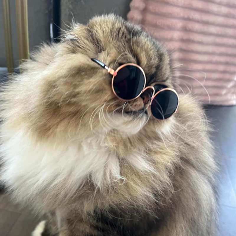 Pet Goggles Sunglasses Fashion Clear Square Cat/Dog Goggles - Classic Retro Circular Metal Circle Eye-Wear for Cat,Chihuahua or Small Dogs