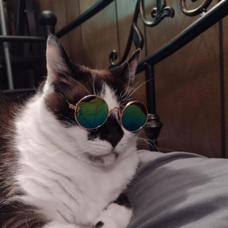 Pet Goggles Sunglasses Fashion Clear Square Cat/Dog Goggles - Classic Retro Circular Metal Circle Eye-Wear for Cat,Chihuahua or Small Dogs