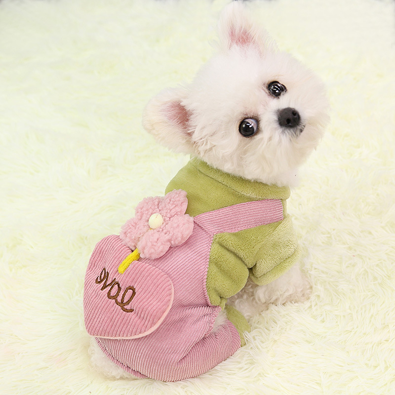 Flower Princess Pet Clothes for Small Dogs, Dog Jumpsuit, Cute Puppy, Cat Clothing, Sweet Pets, Chihuahua Apparel, Autumn Winter
