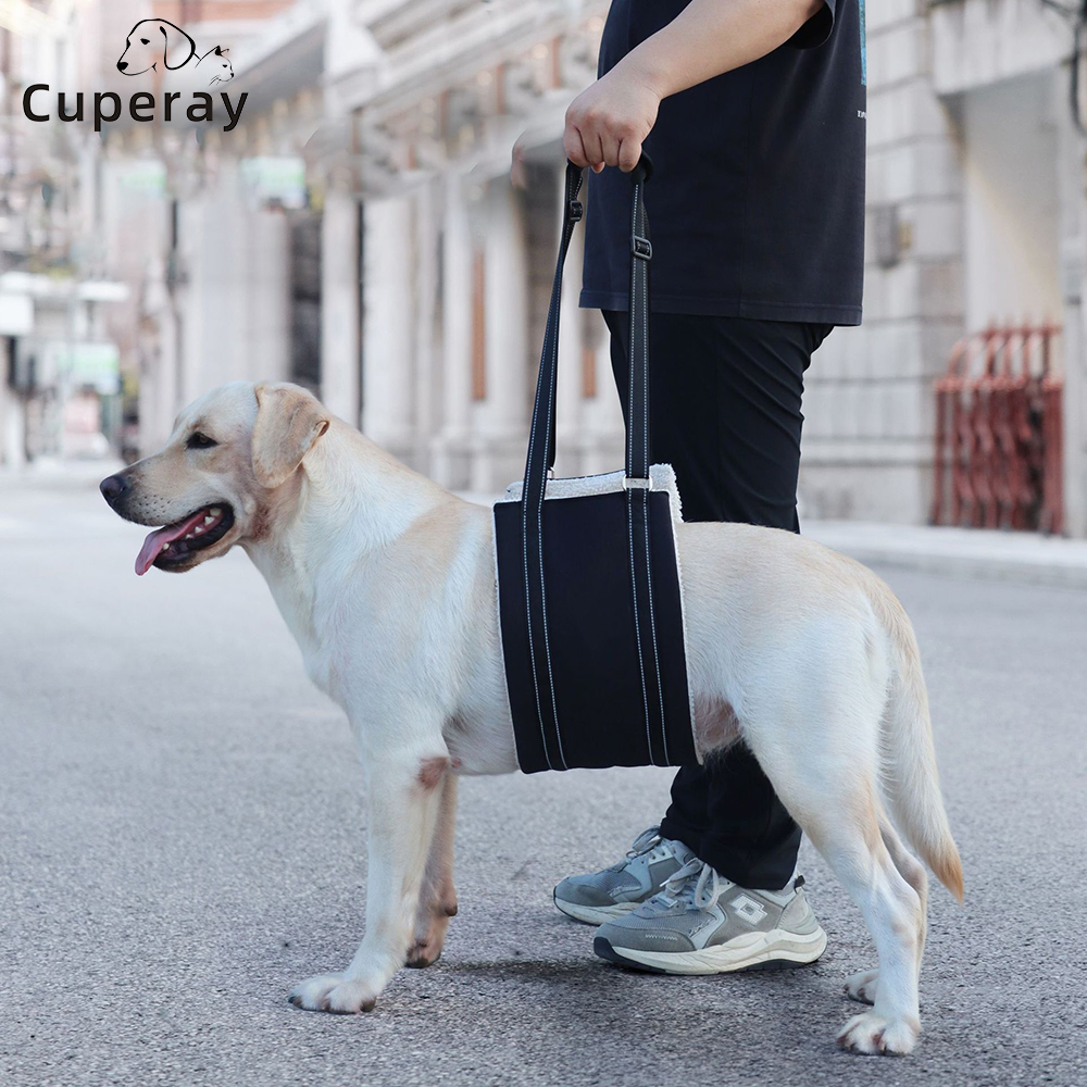 Dog Lift Support Harnesses Dog Auxiliary Belt Adjustable Oxford Pet Walking Assist Sling for Elderly Joint Injured Disabled Dogs