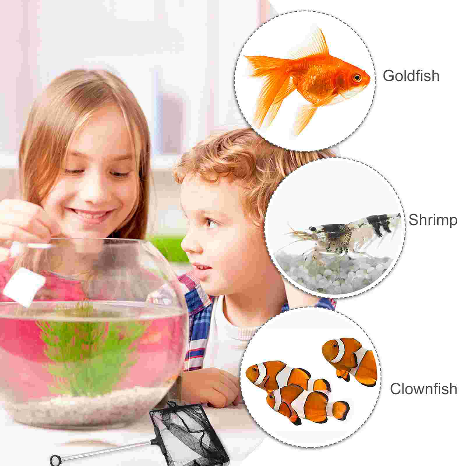 Mesh Fish Tank Net with Long Handle Telescopic Fine Mesh Fishnet with Extendable 33-60cm Long Handle for Aquarium Lakes Ponds