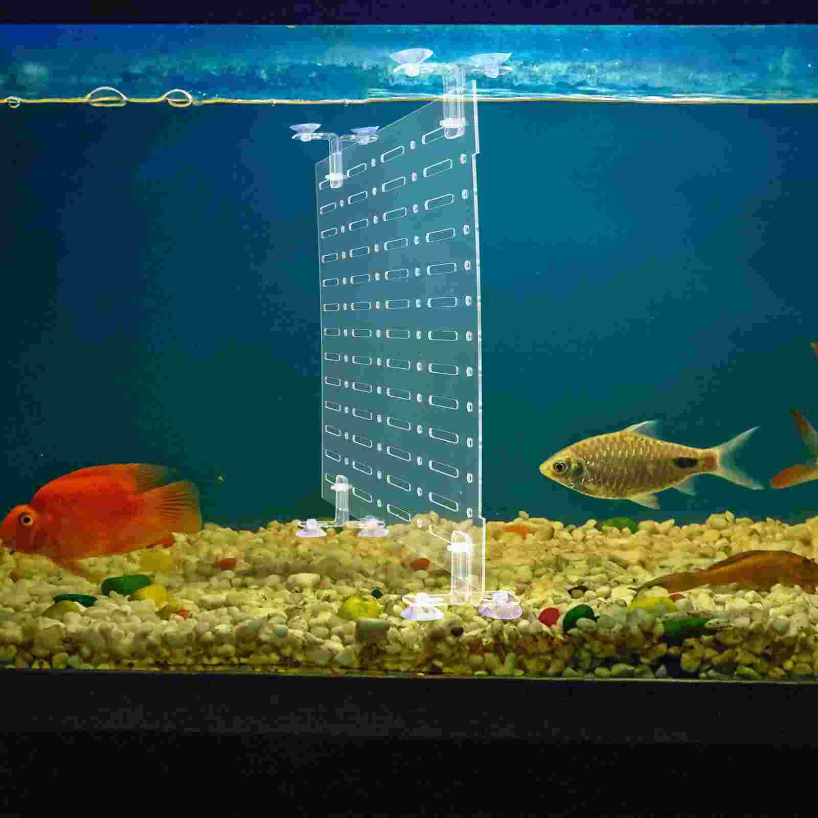 Fish Tank Isolation Board Breeding Aid Aquarium Acrylic Plate Separator Divider Partition