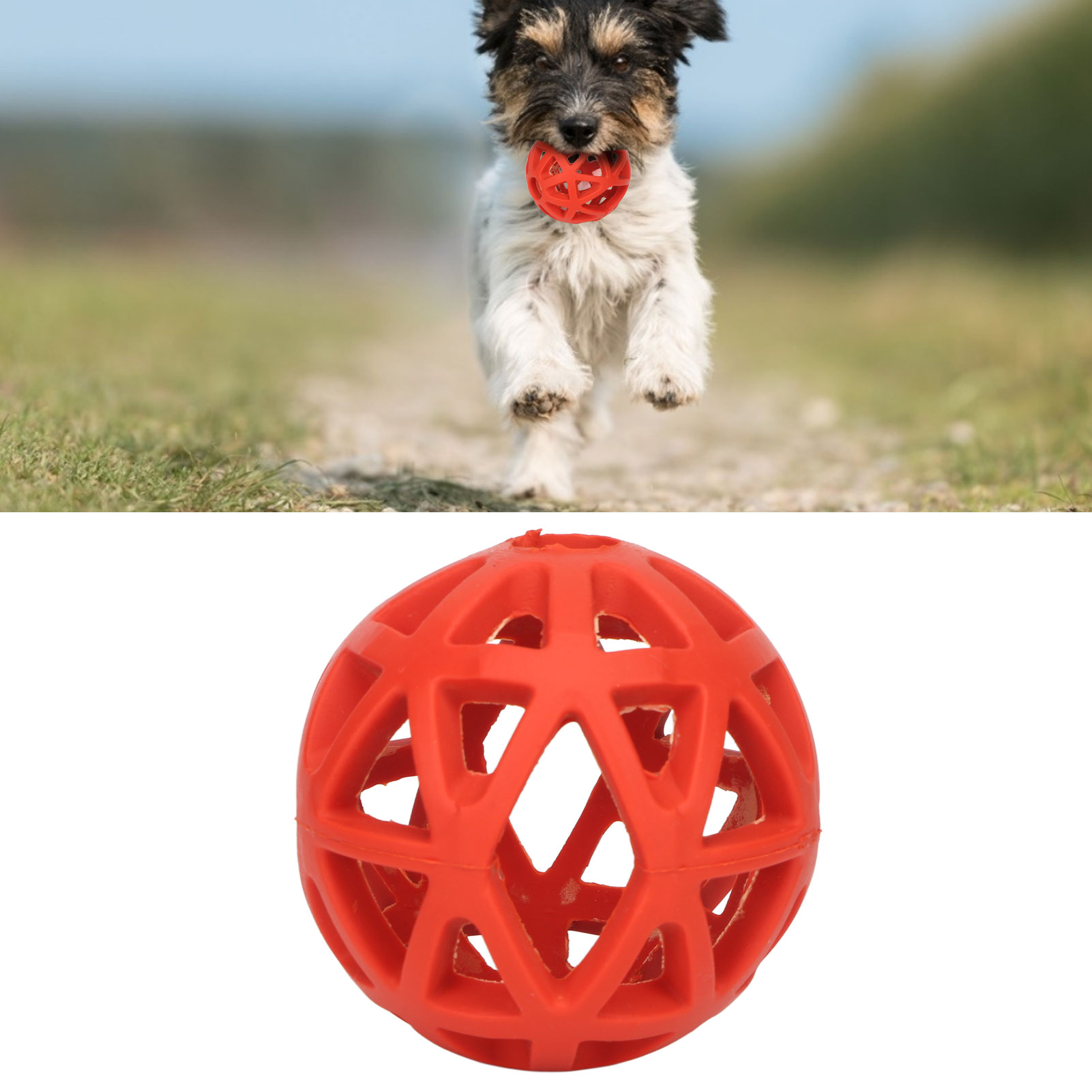 Hollow Dog Ball Bite Resistant Teeth Grinding Interactive Rubber Pet Chewing Ball Toy For Indoor Outdoor