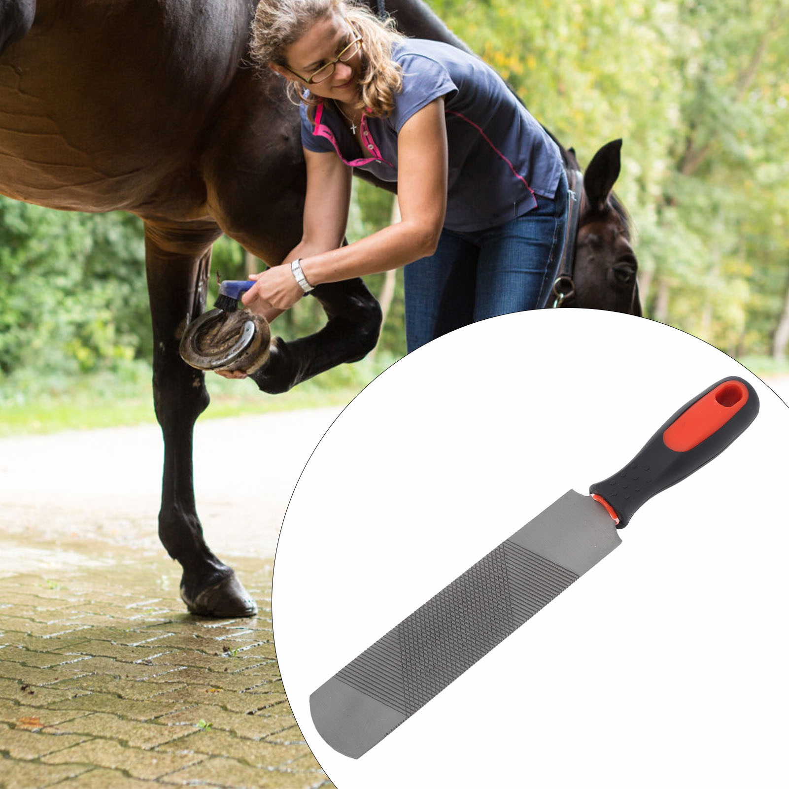 Horseshoe File with Flexible Handle for Horse, Hoof Rasp, Carbon Steel, Ergonomic Trimming Tool, 8 in