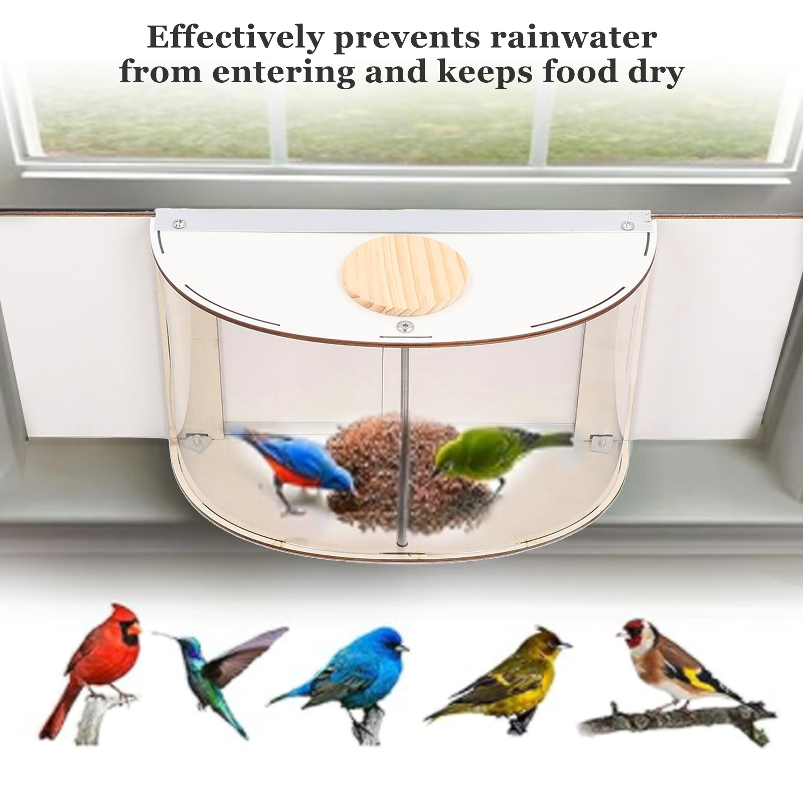 Window Bird Feeder Inside House, Rain Proof, Adjustable Inlet, Stable 180 ° Clear View, Feeder for Bird Watching