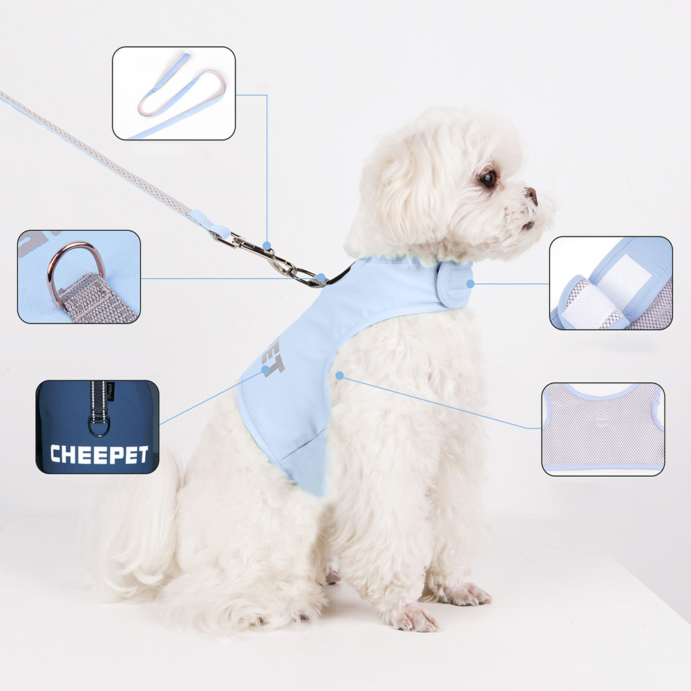 Pet Leash Small Dog Vest Type Dog Chest Strap Night Reflective Explosion-proof Punch Chest Strap Mesh Breathable for Puppies Cat