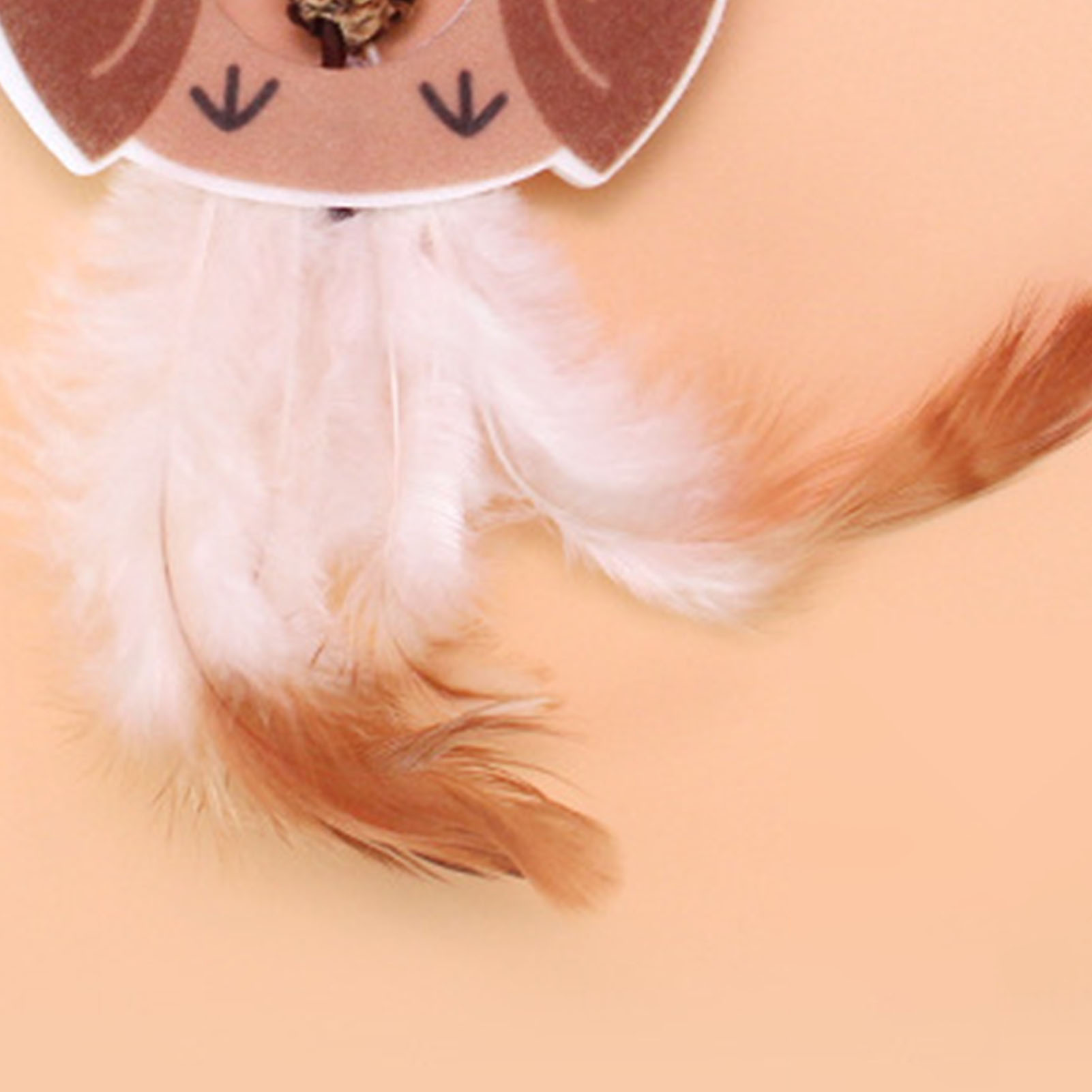 Retractable Cat Feather Toy, Long Elastic Cord Catnip Included, Bright Colors, Hanging Door, Wall Door, 6.6ft