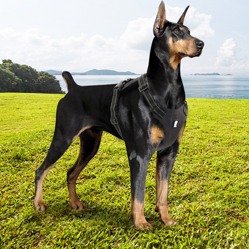 Large Dog Harness Reflective Adjustable Lightweight Pet Dog Harness Comfortable Dog Harness Suitable for Large and Medium- Dogs