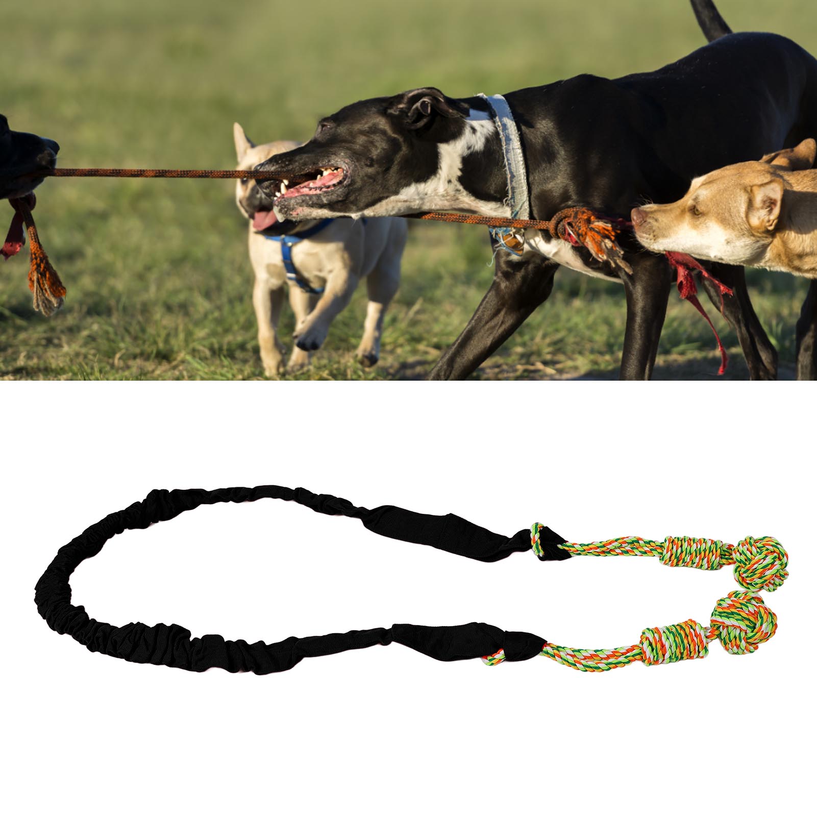 Dog Tug Rope Toy Bite Resistant Teeth Grinding Interactive Hanging Pet Rope Toy For Indoor Door Outdoor