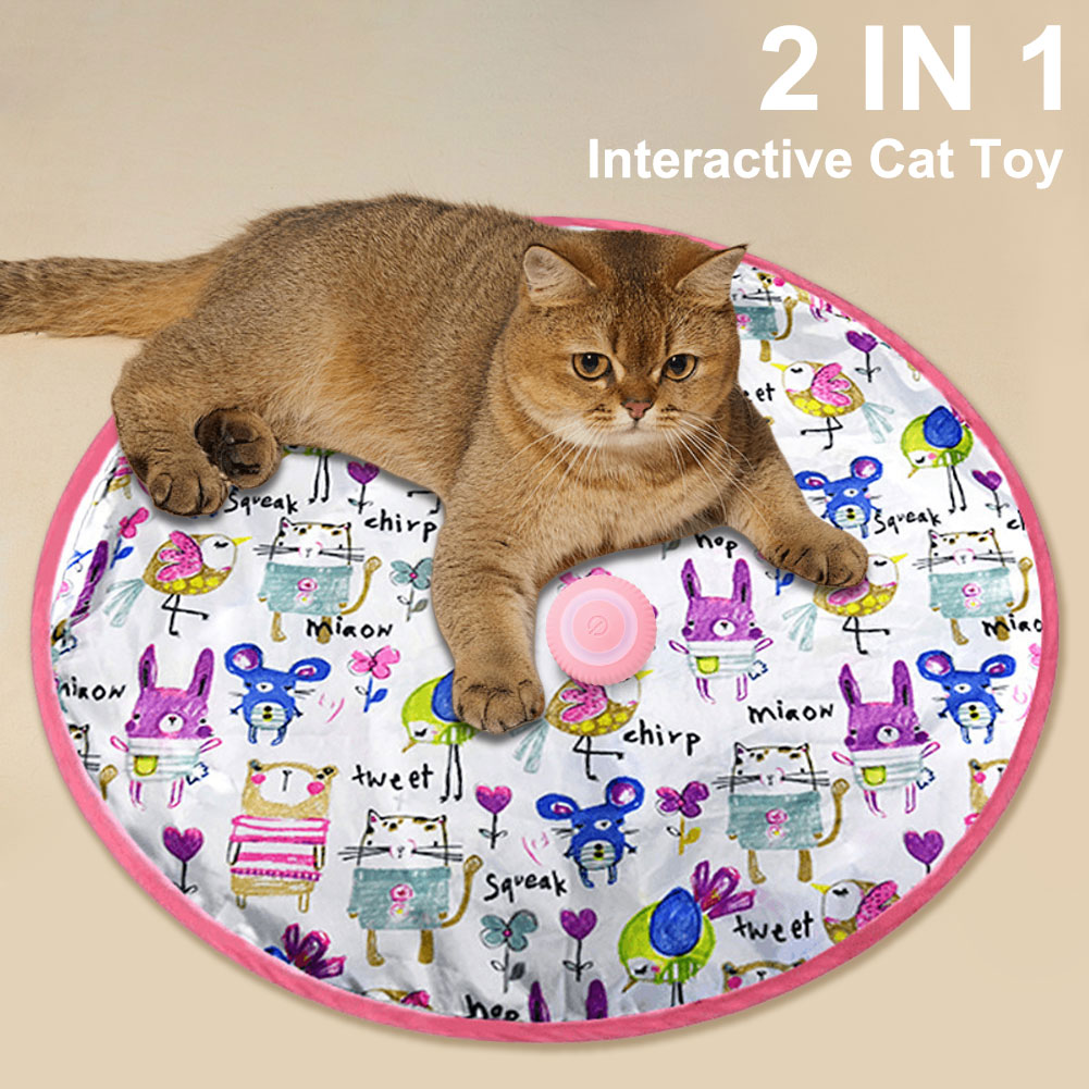 Hide and Seek Cat Toy 2 in 1 Simulation Cat Hunting Toy Funny Paw Hunting Cat Toy Cat Play Mat for Indoor Cats