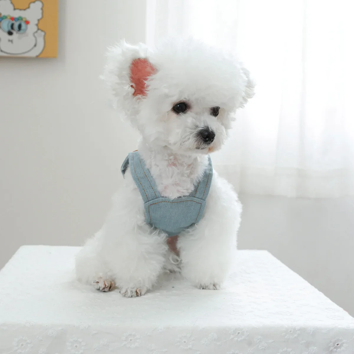 Pet Cowboy Embroidery Small Flower Strap Skirt Dog Cat Clothes Autumn/Winter New Flower Sweetheart Cowboy Skirt