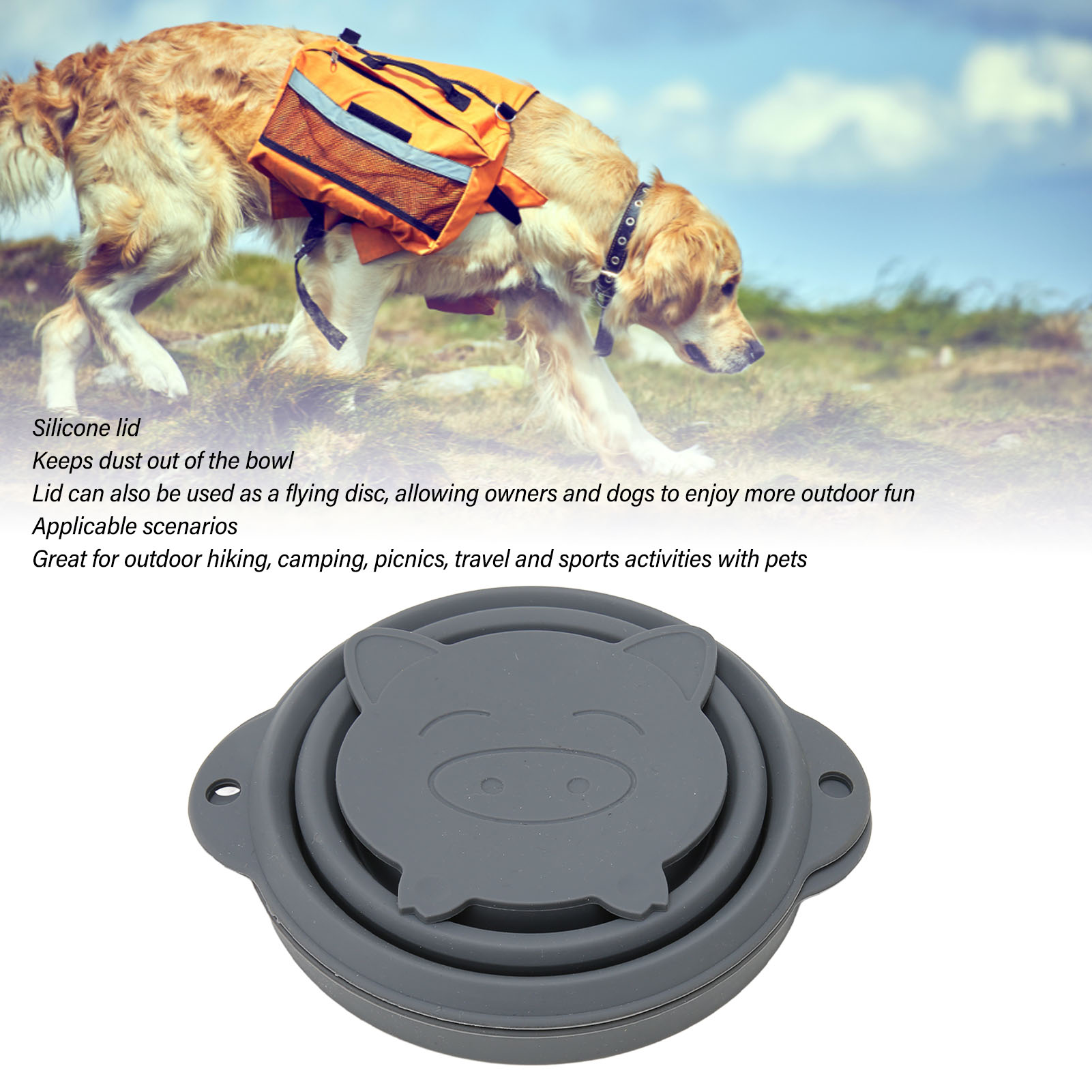 Collapsible Dog Travel Bowls Portable Food Grade Silicone Foldable Dog Bowls With Lids For Outdoor