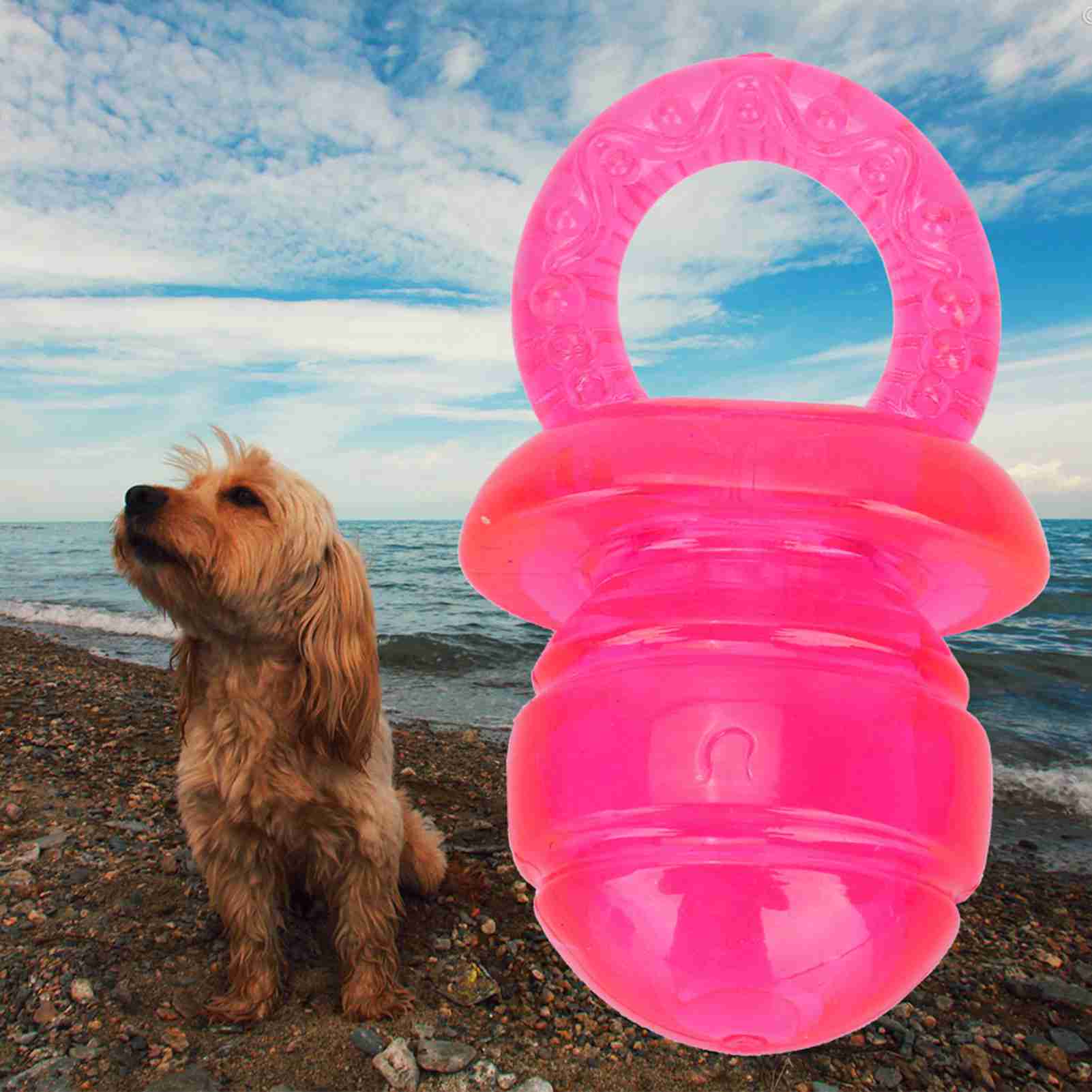 5 Pcs Pacifier Shaped Pet Dogs Teether Teething Sounding Interactive Chew Toy