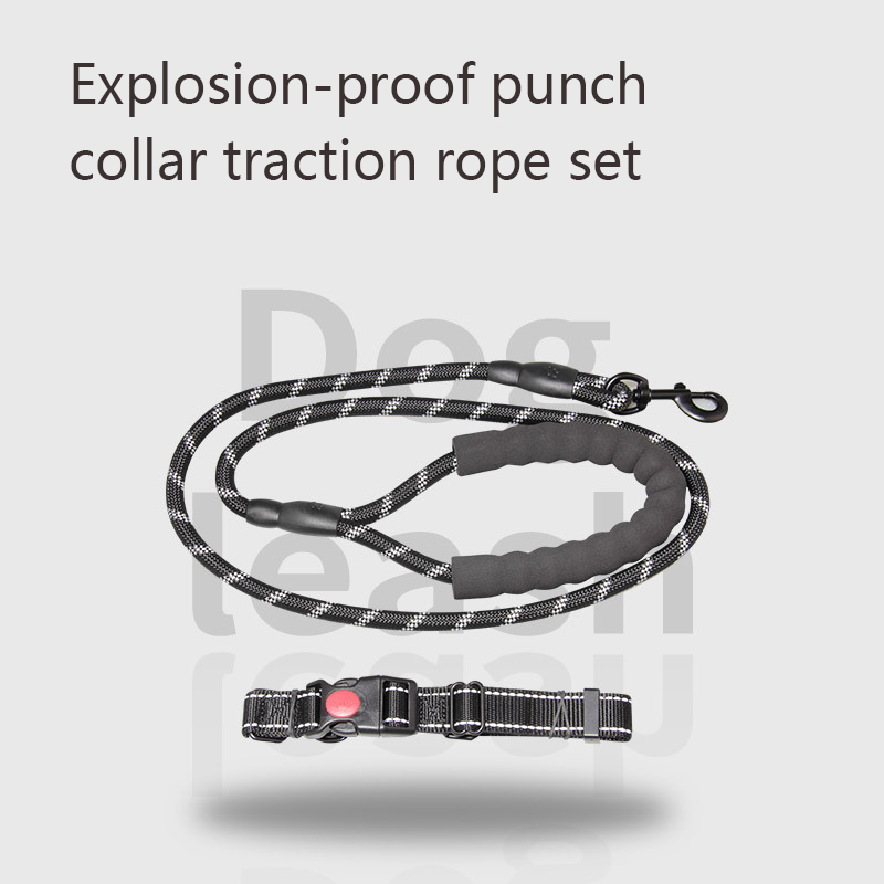 Dog Collar and Leash Set Explosion Proof, Strong Round Rope Leash Set for Running and Walking Dogs for Small, Medium Large Dogs