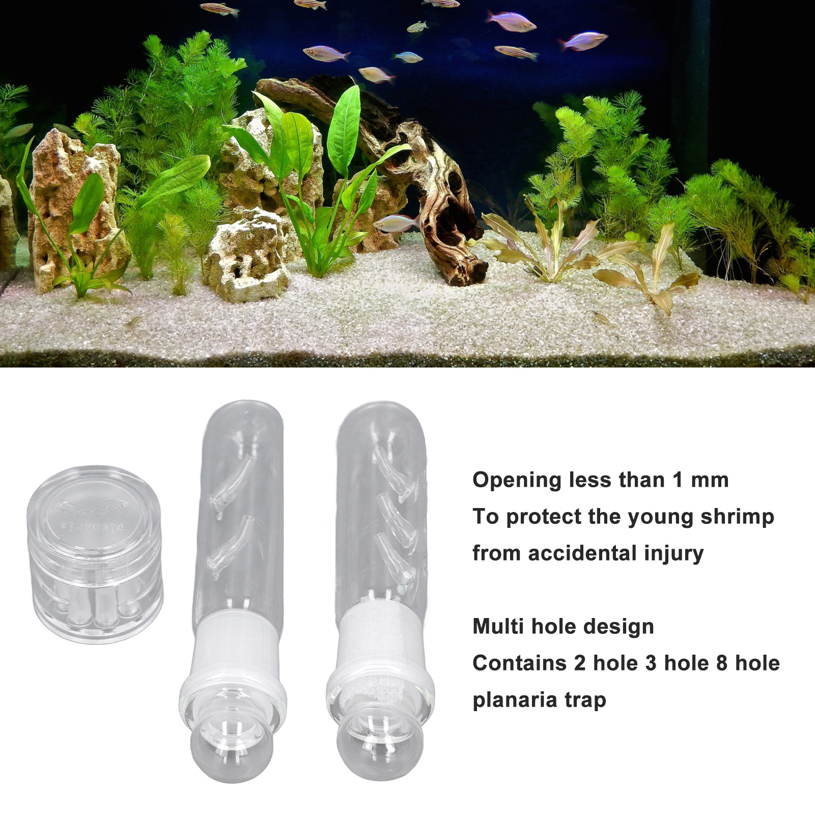Planaria Trap Transparent Glass Easy To Use 2 Hole 3 Hole 8 Hole Planaria Catcher For Fish Tank Shrimp Tank