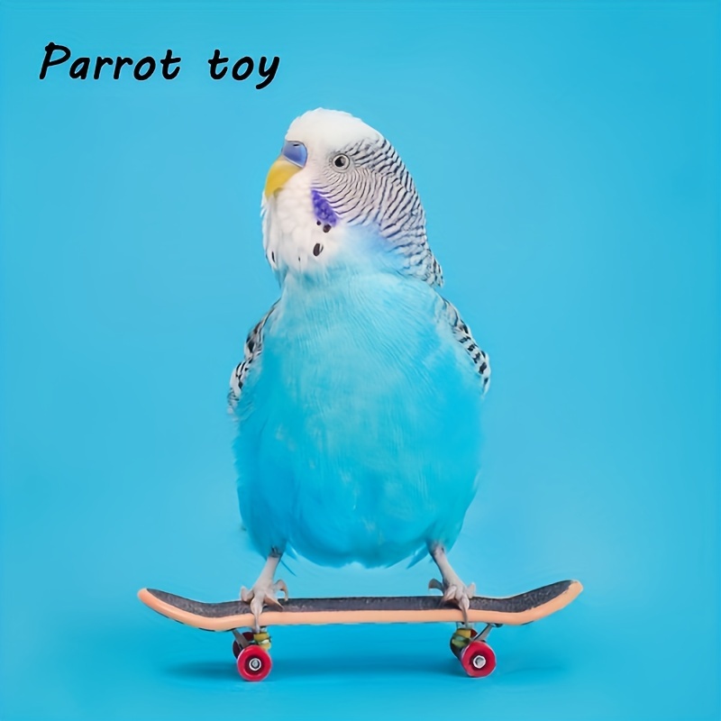 1pc/2pcs Bird Toys, Parrot Skateboard Toy, Training Props, BirdEducational Toys, Special Supplies For Cockatiel Peony