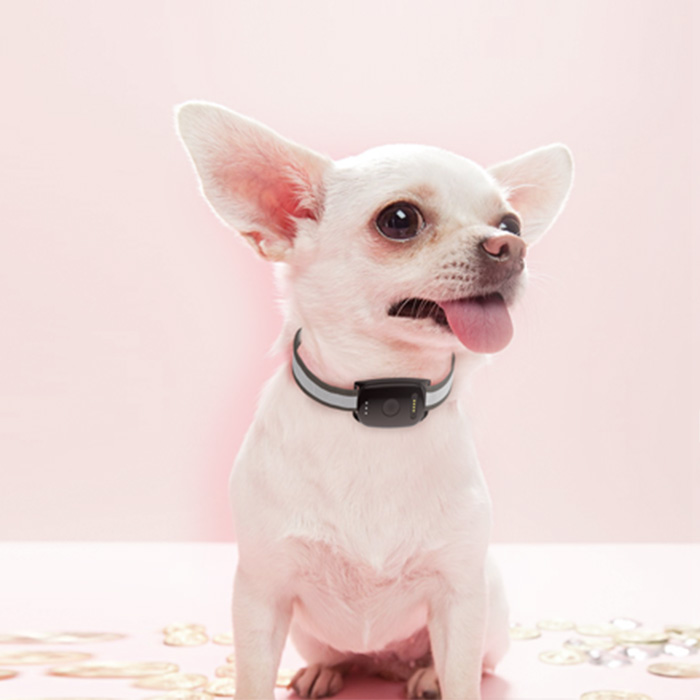 Real Time Tracking Smart Geo Fencing Pet Collar GPS Tracker for Dog Cat