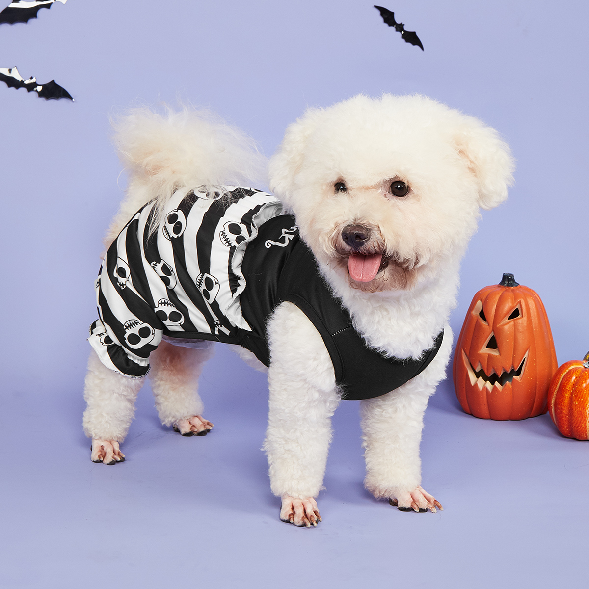 Dog Pajamas Pjs Pup Jumpsuit Cool Skull Printed Dog Clothes for Small Dogs Girl Boy ,Dogs Striped Puppy Clothes Doggie Onesies C