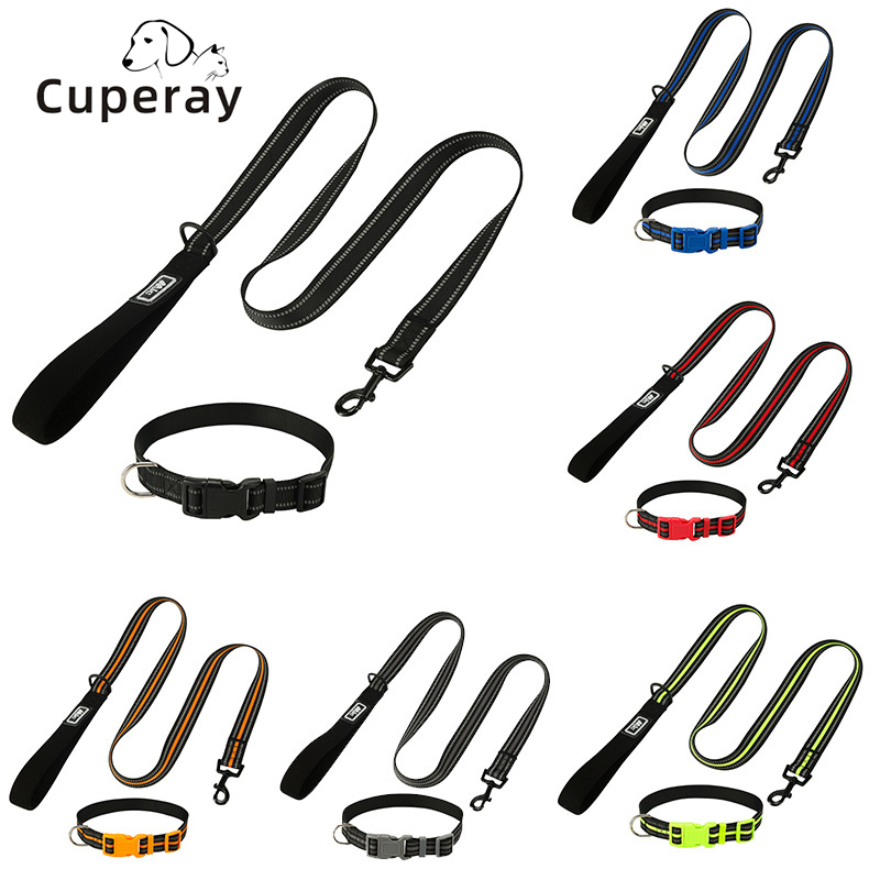 Nylon Reflective Collar and Leash Set for Medium and Large Dogs Walking Leash with Matching Leash Can Adjusted Dog Accessories