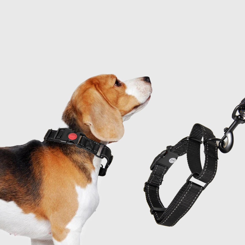 Dog Collar and Leash Set Explosion Proof, Strong Round Rope Leash Set for Running and Walking Dogs for Small, Medium Large Dogs