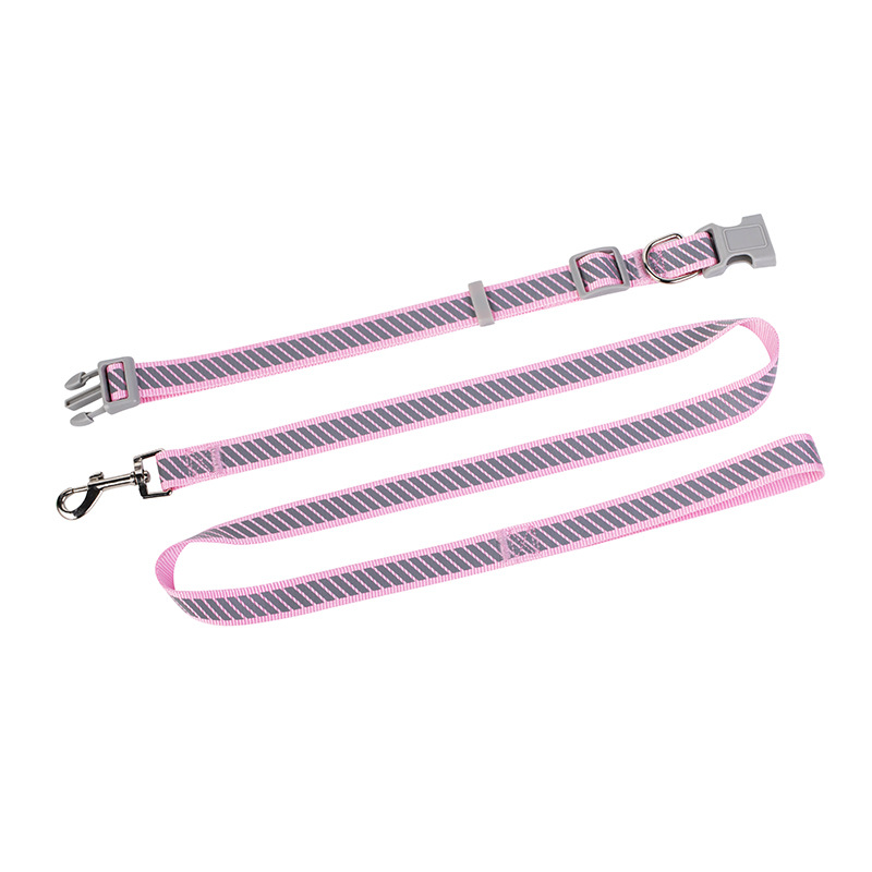 Nylon Reflective Pet Leash and Collars Set Multicolor Dog Leash Adjustable Dog Collar for Medium and Large Dogs Outdoor Training