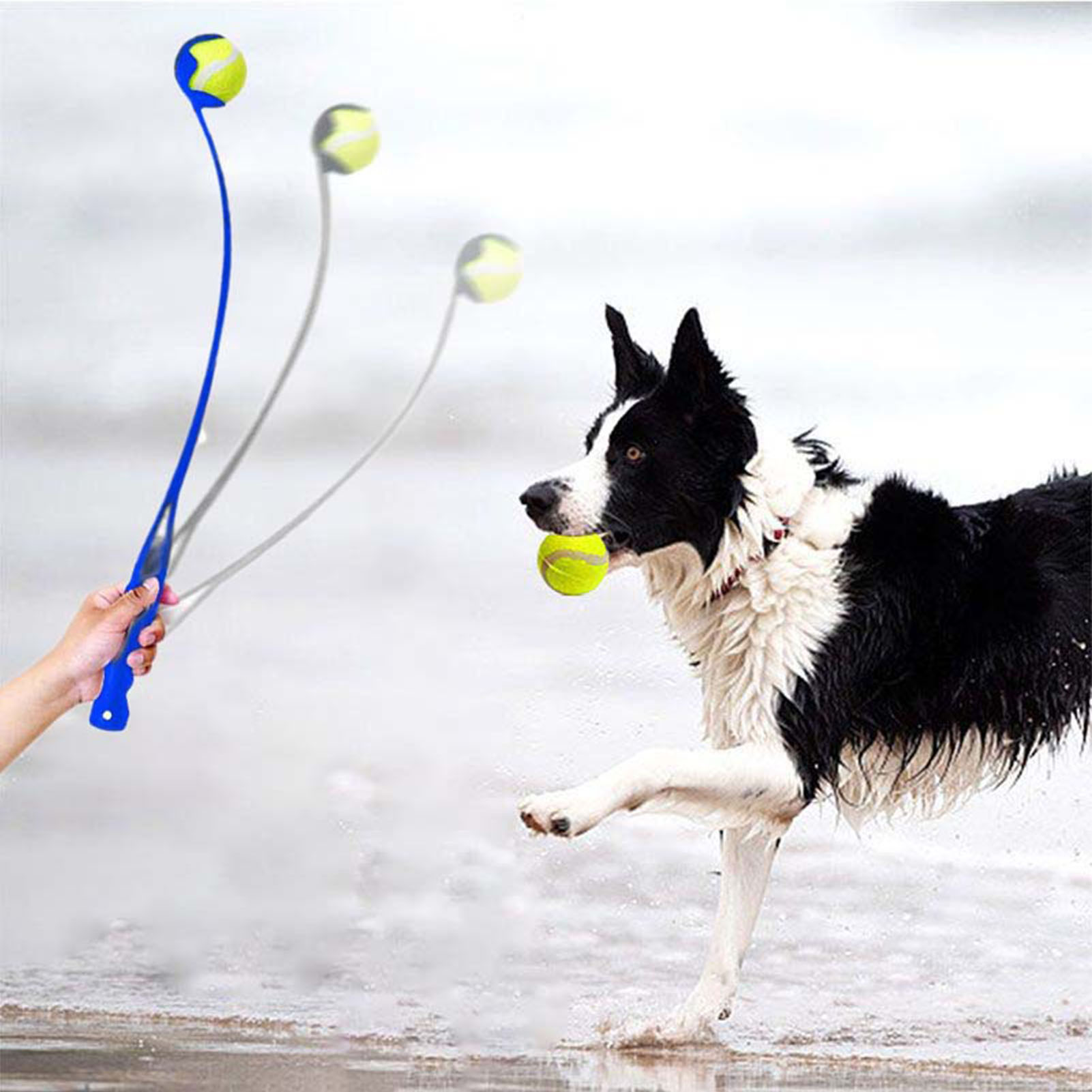 Hand Dog Ball Launcher With Ball Ergonomic Handle Interactive Dog Tennis Ball Thrower For Outdoor Playing Training