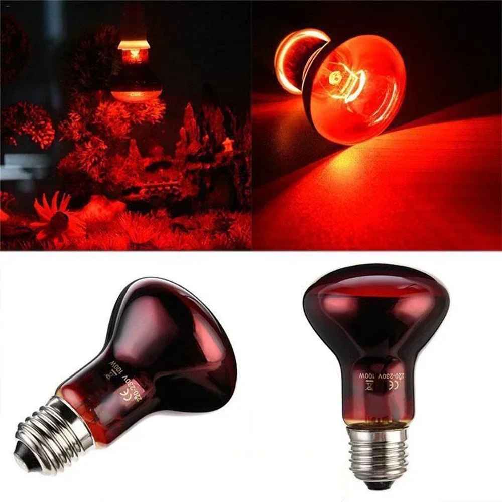 25/40/50/60/75/100W Amphibious Red Heating Lamp Infrared Glass Lamp Accessories Bulb Reptiles Snake Lizards Reptile Heating Lamp