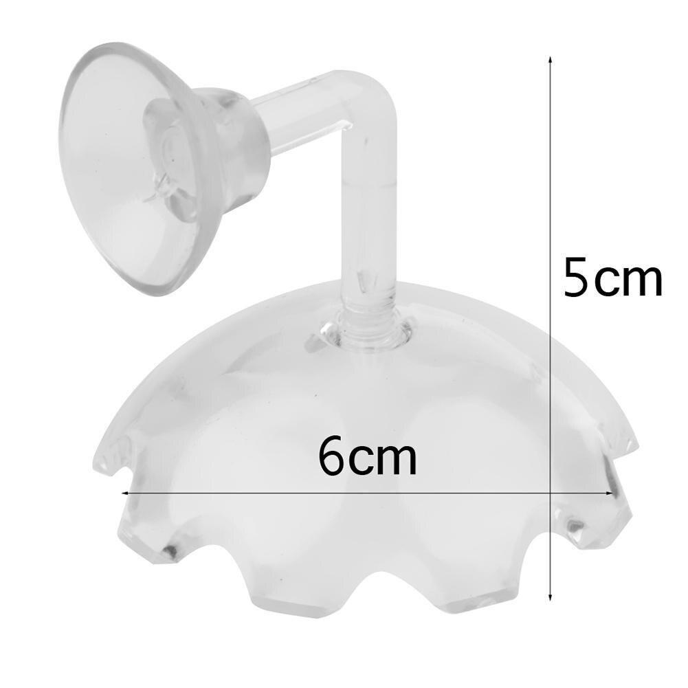 Shrimp Feeding Dish Shrimp Feed Dish Aquarium Fish Tank Shrimp Food Feeder Clear Glass Feeding Tube Dish Suction