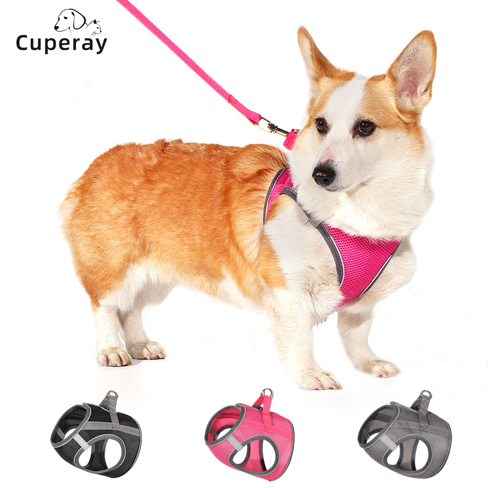 Pet Harness and Leash Set Vest-type Dog Harness Small & Medium Dogs Reflective Anti-breakaway Mesh Breathable Cat Chest Harness