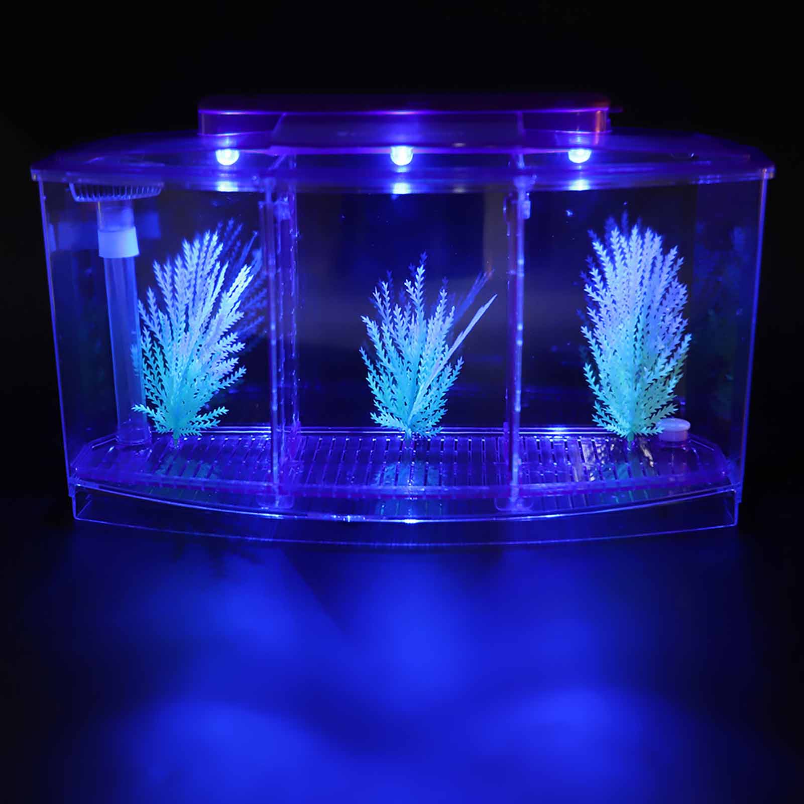 Acrylic Three Divisions Breeding Isolation Box for Small Fish Tank, Aquarium Fish Tank