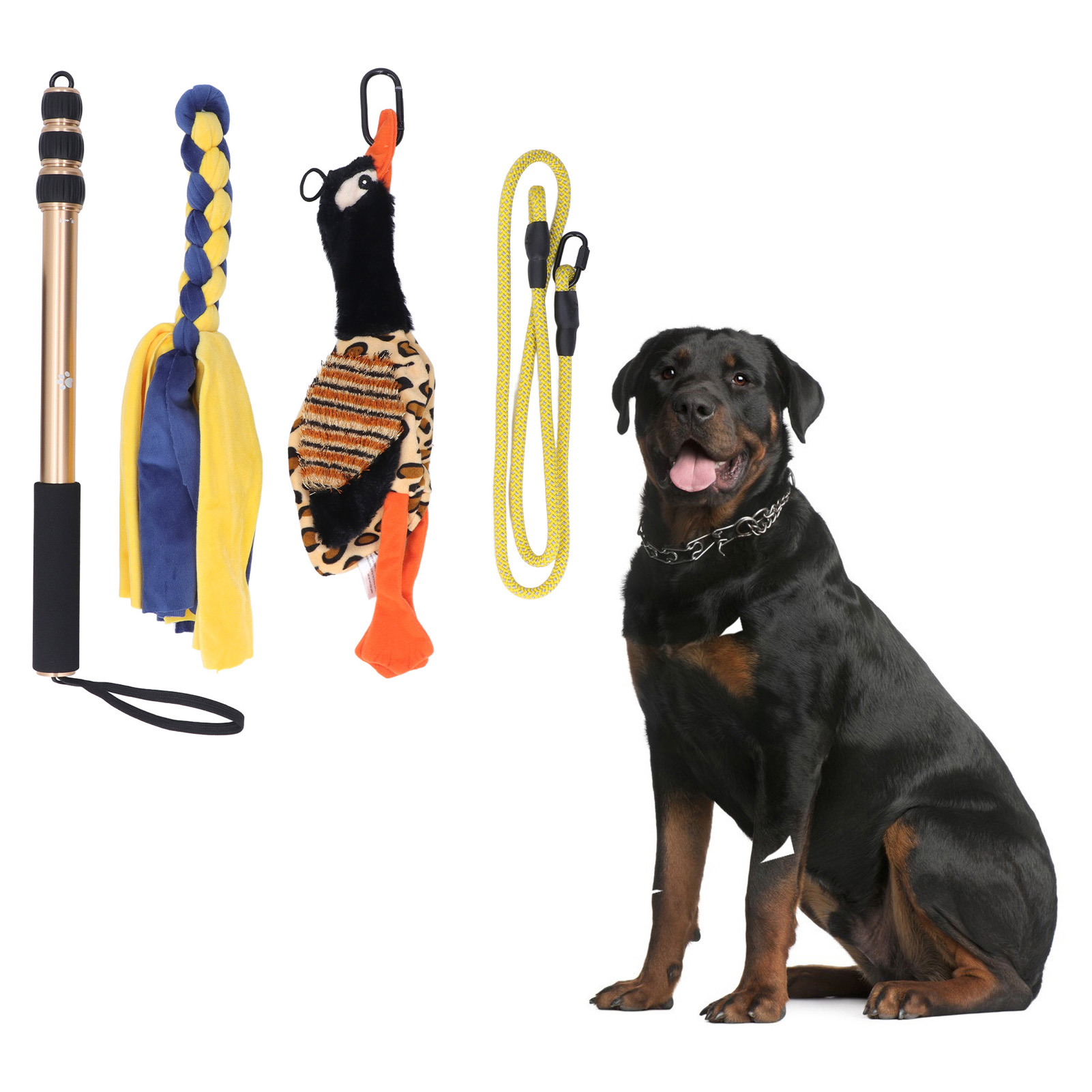 Telescopic Dog Teaser Stick, Interactive Flirt Pole Toy, Extendable Teaser Wand for Exercising Dog, 52 Inch
