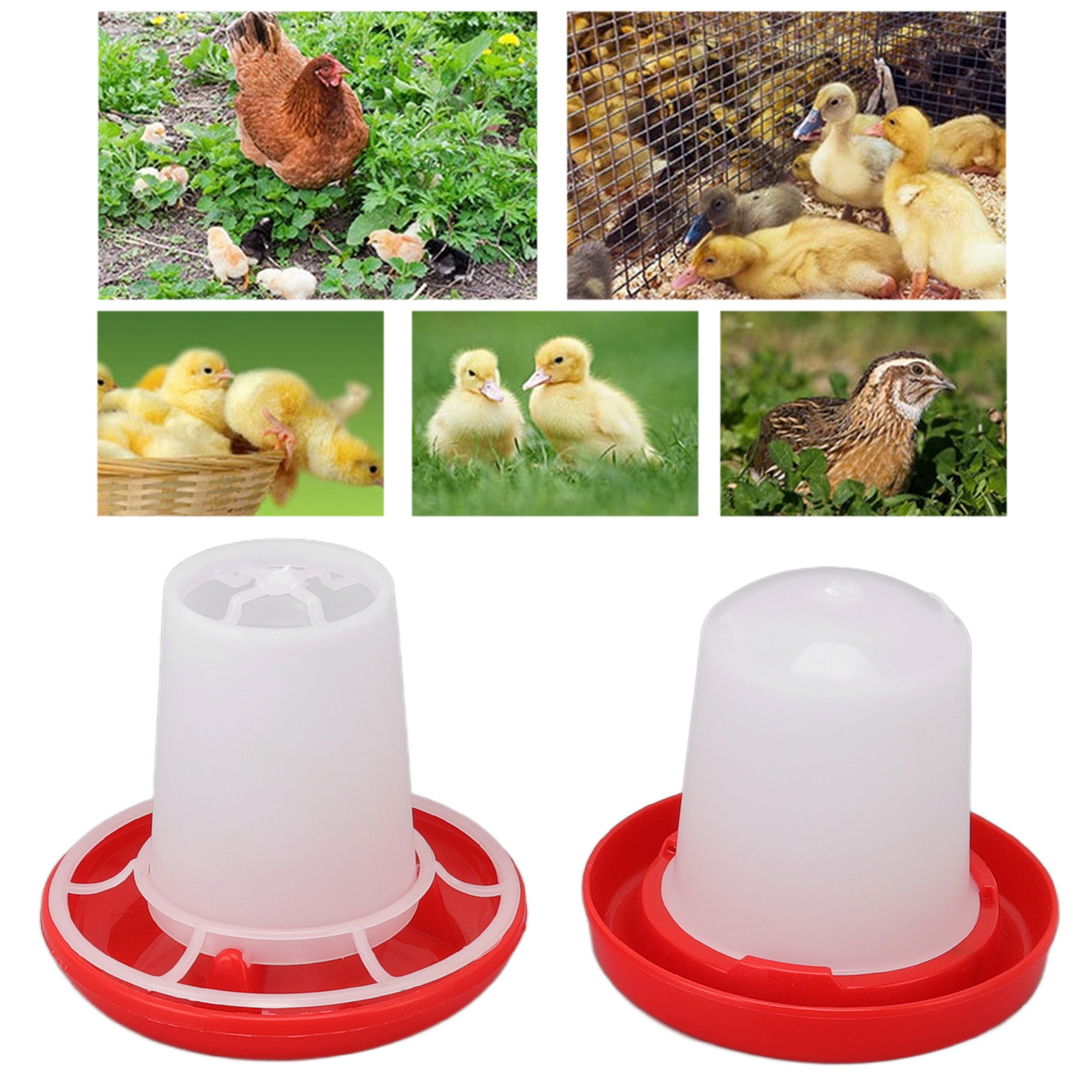 Chick Feeder And Waterer Kit Rotary Sleeve Design Automatic Feeding And Watering Poultry Feeder And Waterer Combo
