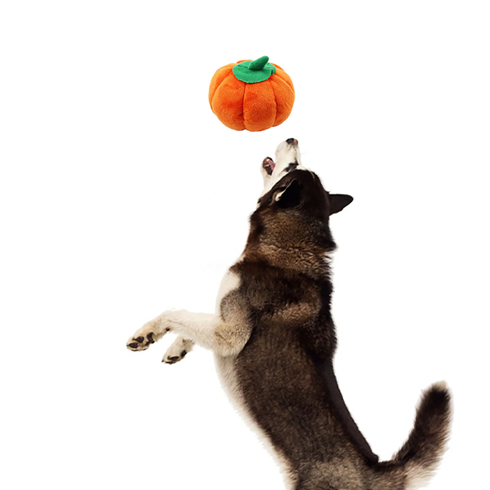 Dog Plush Toy Cute Pumpkin Shape Squeaky Bite Resistant Stuffed Dog Plush Toy For Teeth Grinding Relieve Boredom