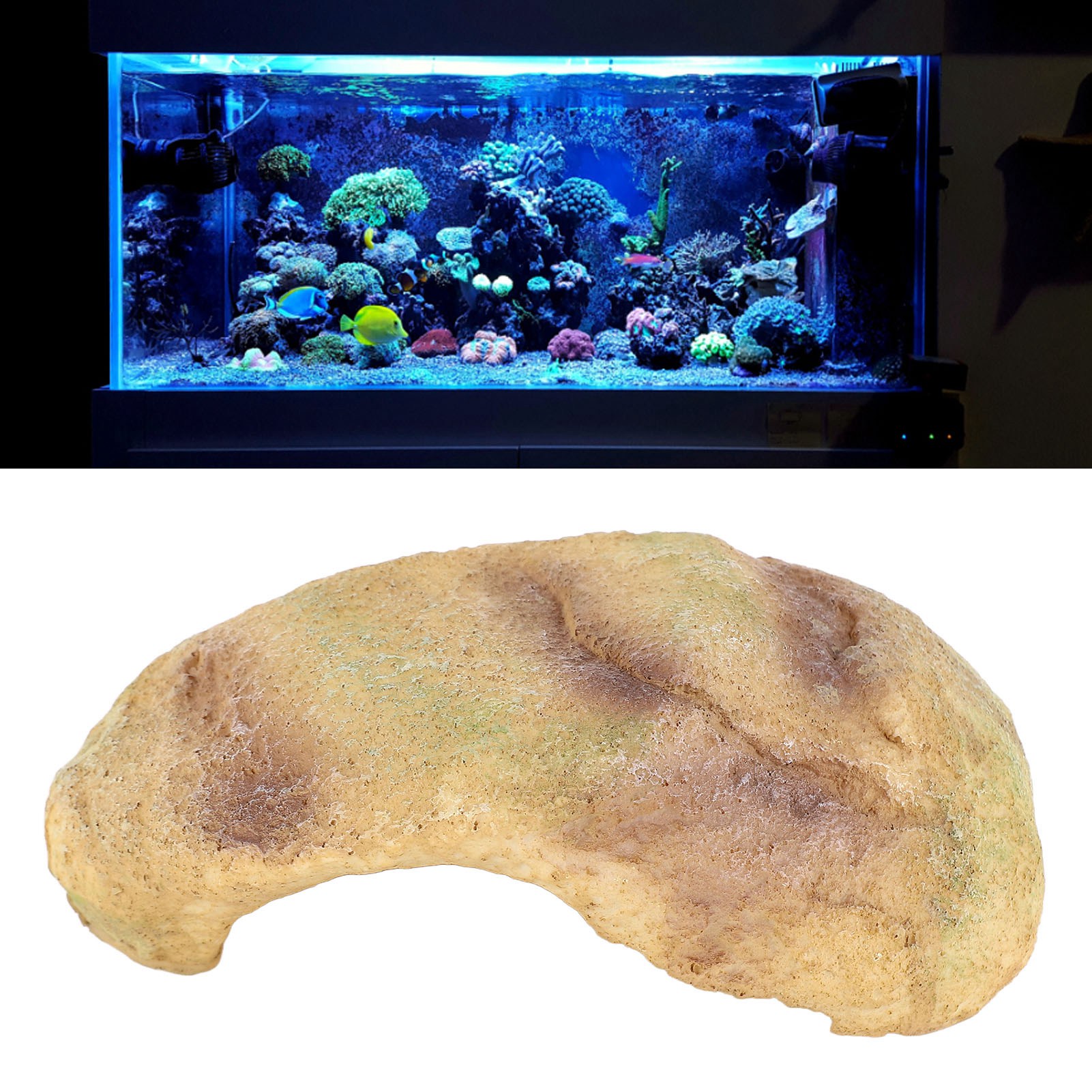 Fish Hiding Cave Resin Fadeless Vivid Comfortable Fish Tank Shelter Decoration For Reptile