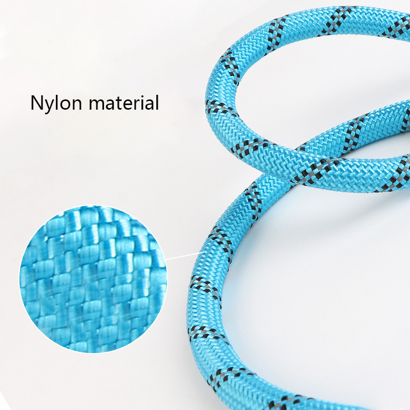 P Chain Integrated Dog Leash, Reflective Slip Training Lead for Medium &Large Dogs for Safe Night Walks Dog Leash Pet Slip Leash