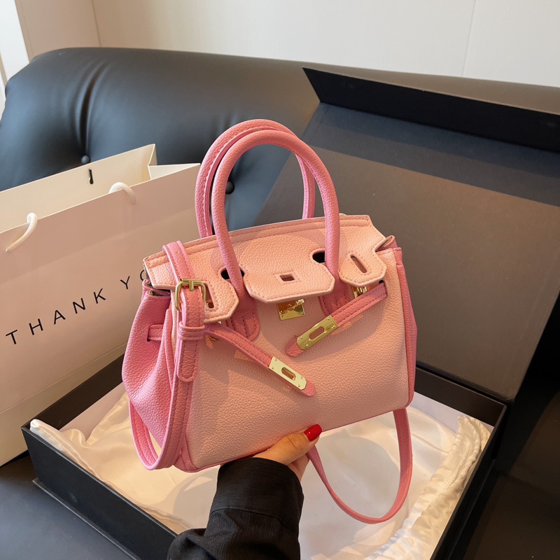 Small niche design handbag women's 2024 new fashion versatile ins shoulder crossbody bag