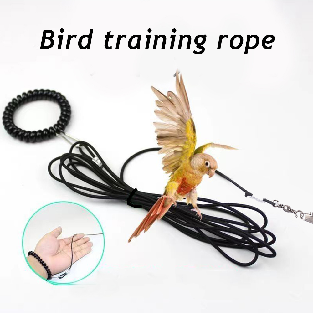 Pet Bird Outdoor Training Harness Rope Bird foot Chain Parrot Anti-flying Traction Straps Bird Feet Bracelet Alloy Foot Ring