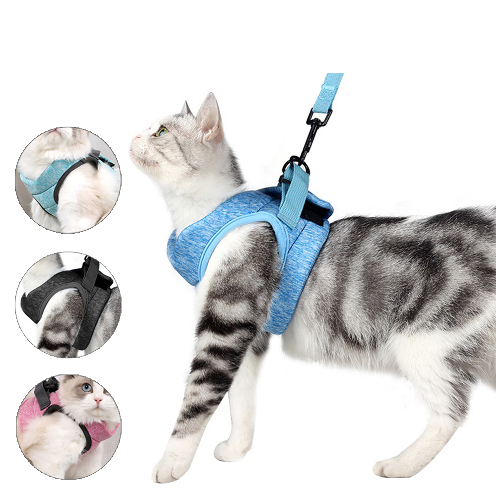 Cat Harness and Leash for Walking Escape Proof Set,Adjustable Step In Outdoor Pet Vest Harness and Leash for Cats and Small Dogs